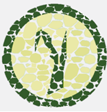 Logo la cañada