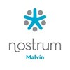 Logo nostrum malvin