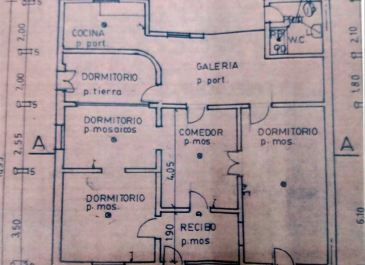Planta