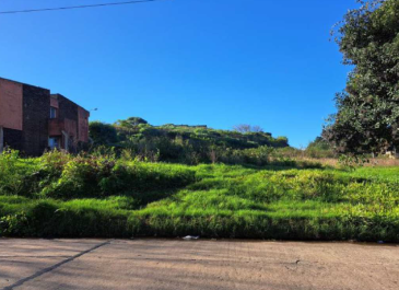 TERRENO
