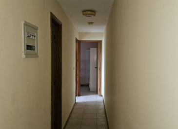 CIRCULACIÓN